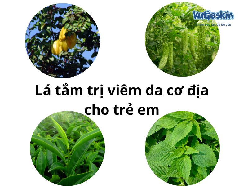 Trẻ bị viêm da cơ địa tắm lá gì an toàn và hiệu quả?